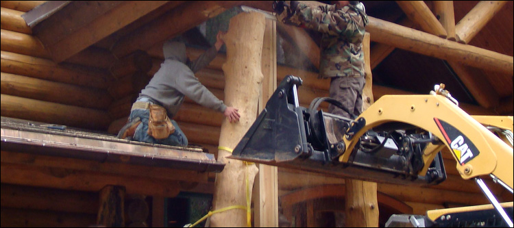 Log Home Log Replacement  Scaly Mountain,  North Carolina